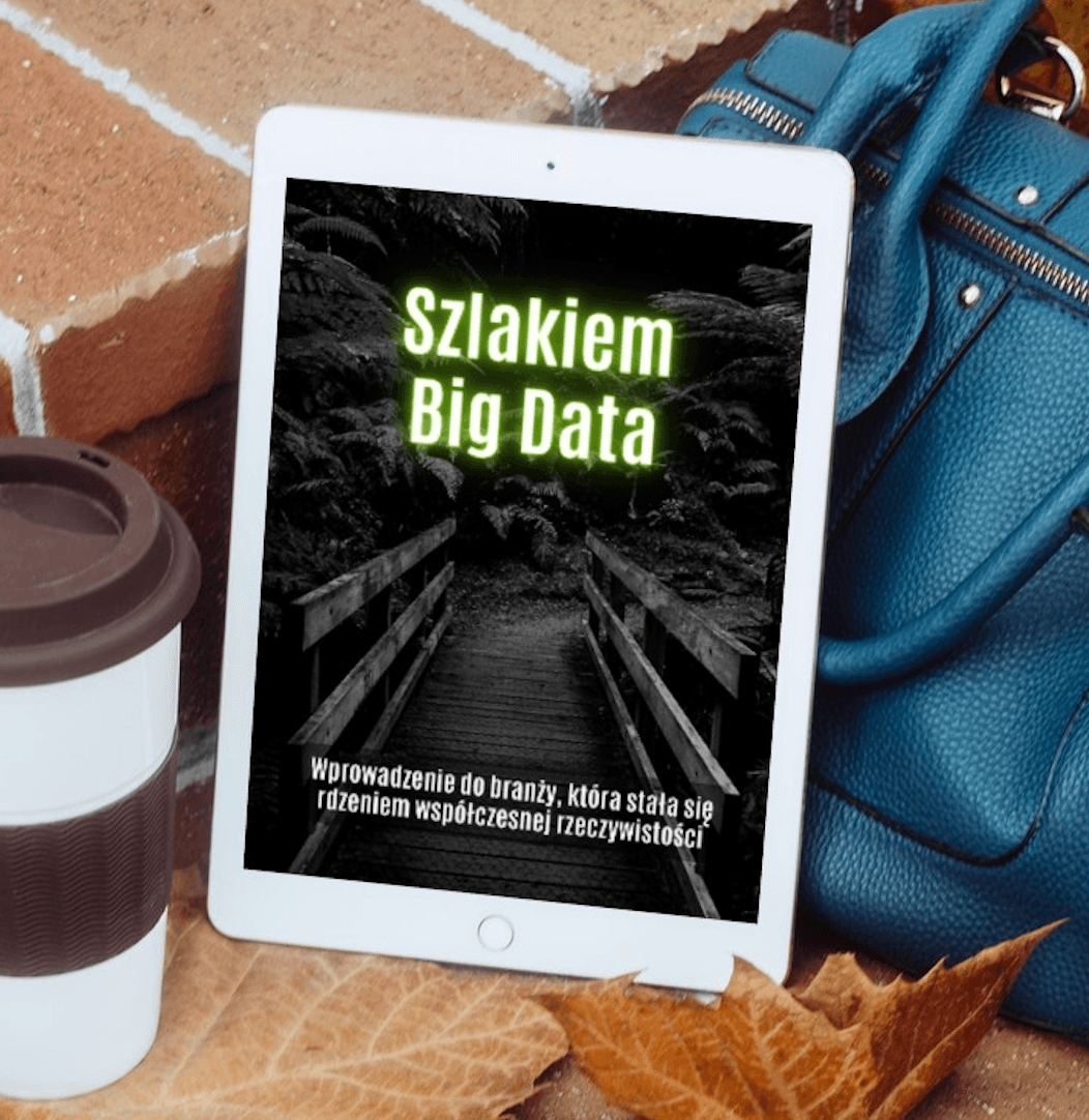 Okładka ebooka Szlakiem Big Data